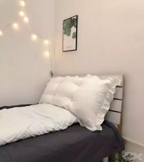 厦门免费房屋改造,厦门旧屋改造出租屋