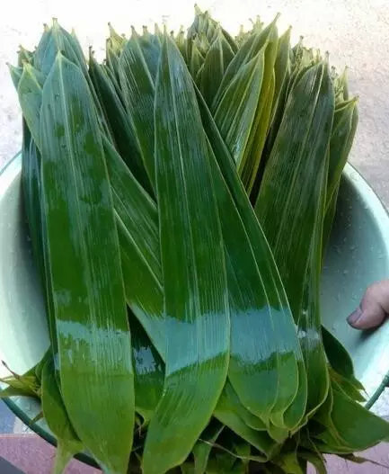 粽子有什么危险,警惕这种粽子