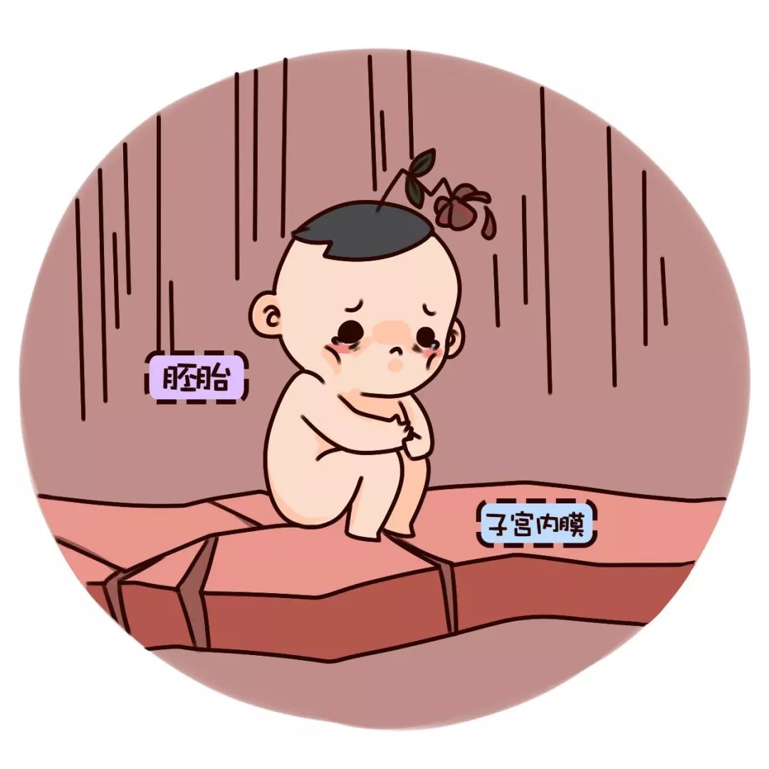 健康避孕小知识,产后避孕的十大建议