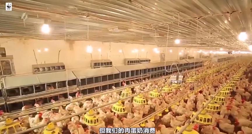 这场“内鬼”风波，到底打了谁的脸？