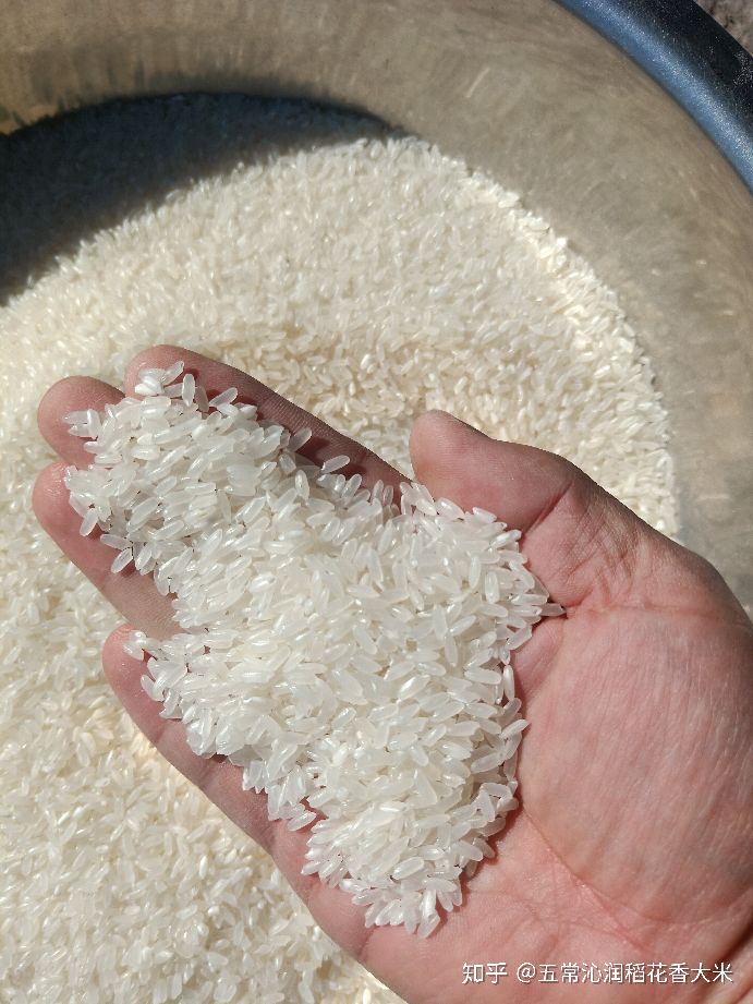 淘宝网店五常大米是真的吗安全吗,淘宝特价上面的五常大米真的假的