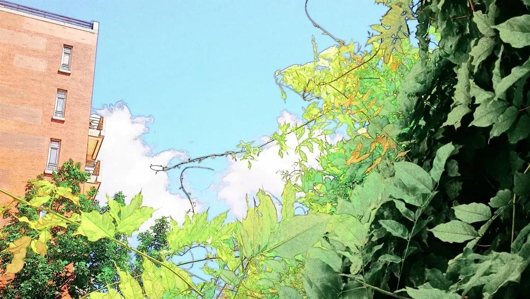 天津高级中学,天津市第二南开中学录取分数线