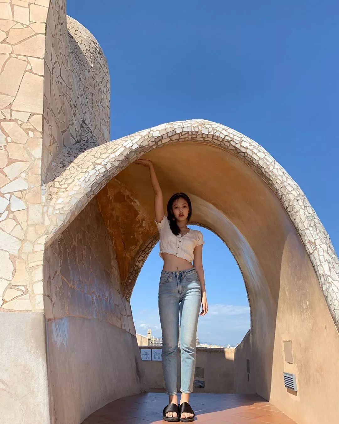 娱乐圈的小花有哪些,娱乐圈里的小花