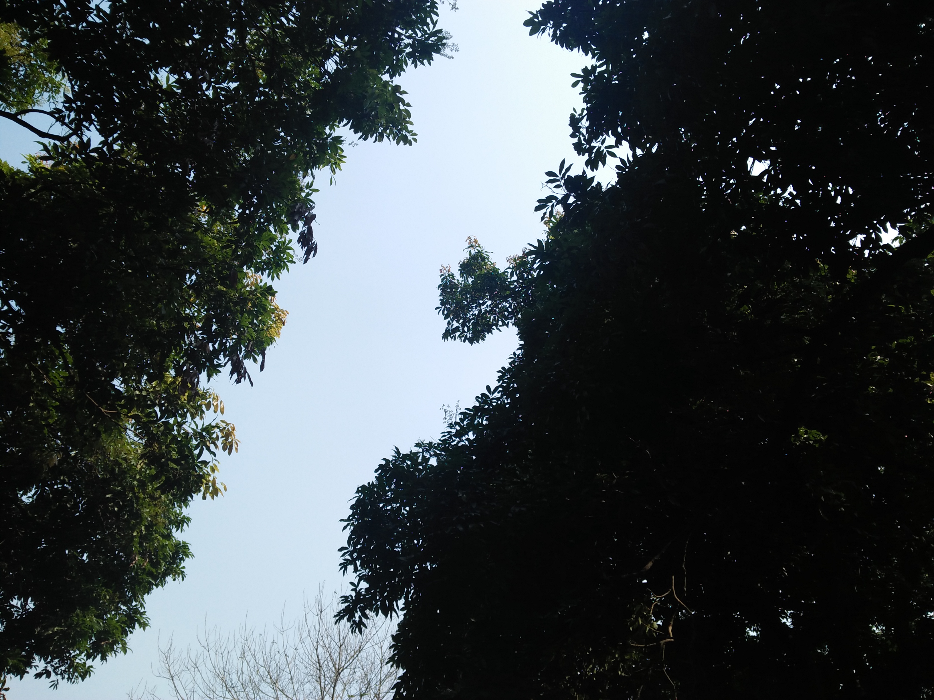 立春散文随笔,立春午后游记