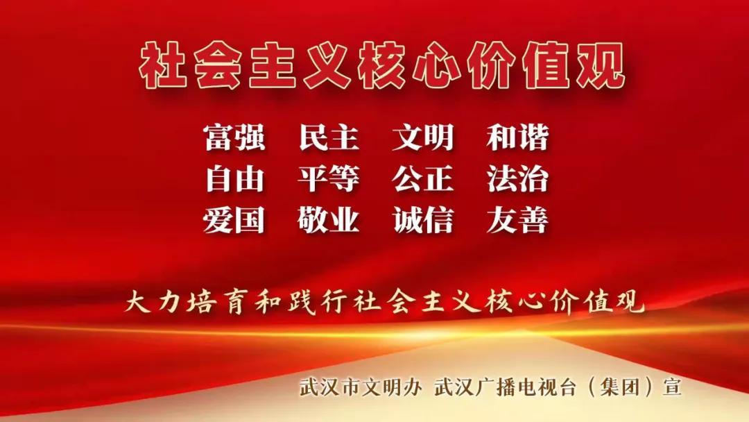 武汉追光户外,武汉追剧