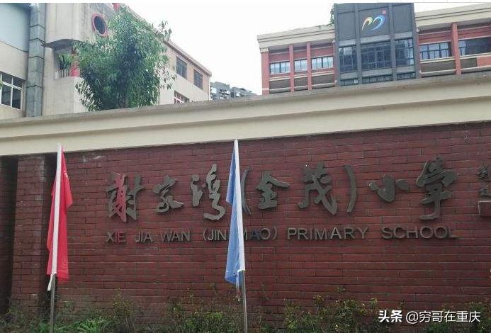 谢家湾金茂小学择校费多少,谢家湾金茂小学与杨石路小学