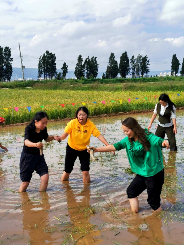 寻甸渔乐谷最新消息,寻甸欢乐世界项目大全