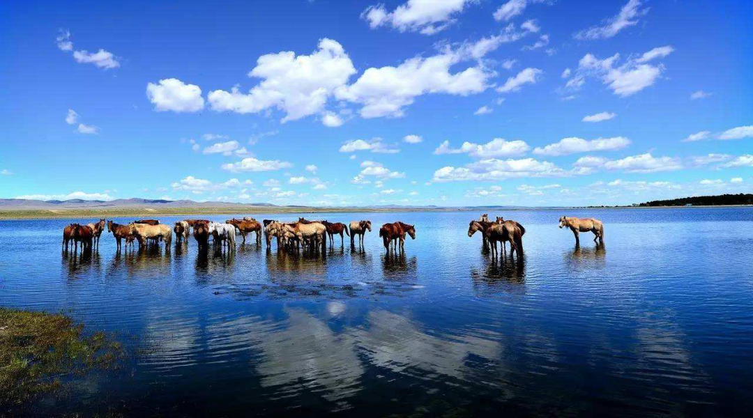 蒙古人怎么看待中国和蒙古,蒙古族眼中的蒙古与中国