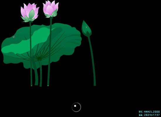 柯汝读邮：荷花T54映日荷花别样红