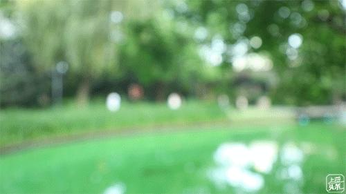 上海宋城免费景点,上海一日游攻略必去景点免费