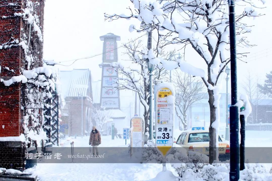 老实说，这一趟北海道就是为了拍好看的照片去的