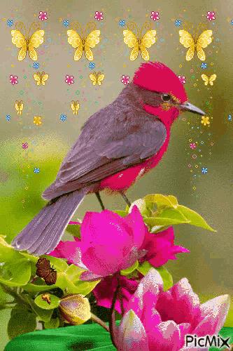 这是我见过最美的风景吗,这是我见过的最美的风景英语