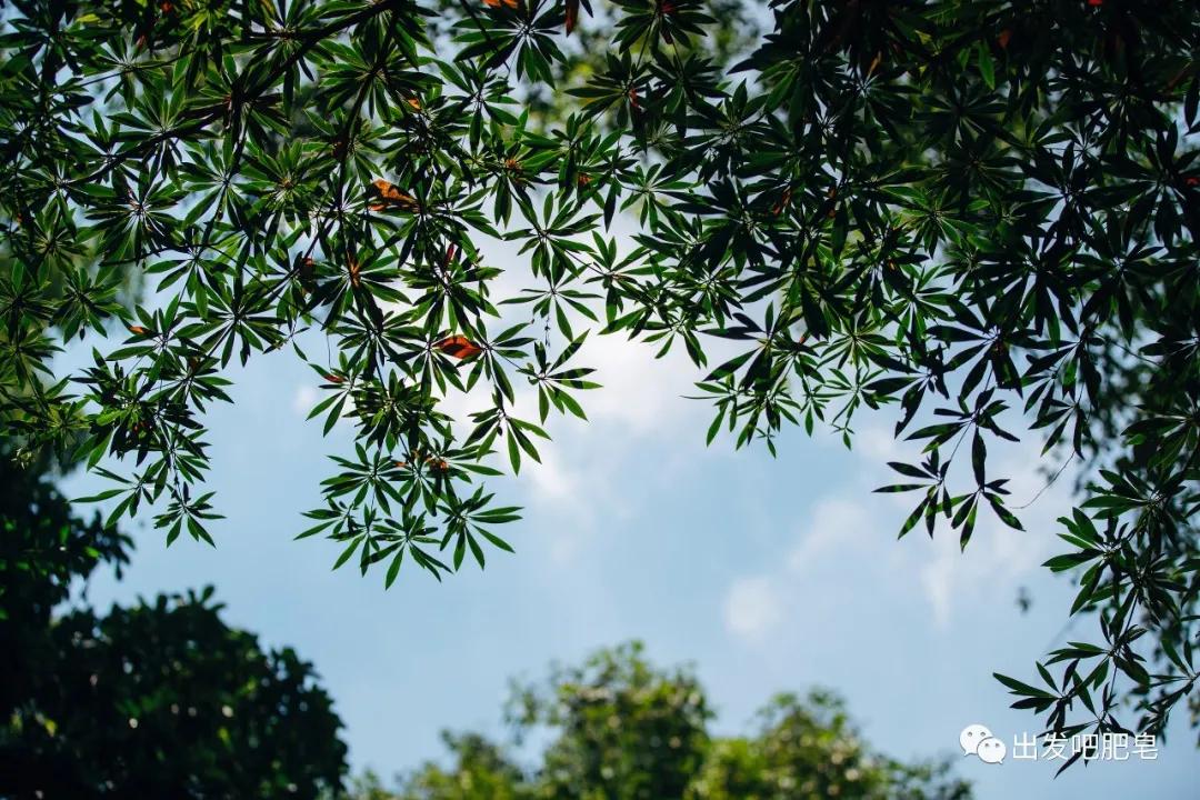 长隆飞鸟乐园怎么去长隆欢乐世界,汉溪长隆地铁站去长隆飞鸟乐园