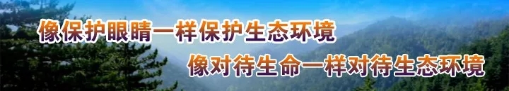有关二青会的知识,二青会2019年时间表
