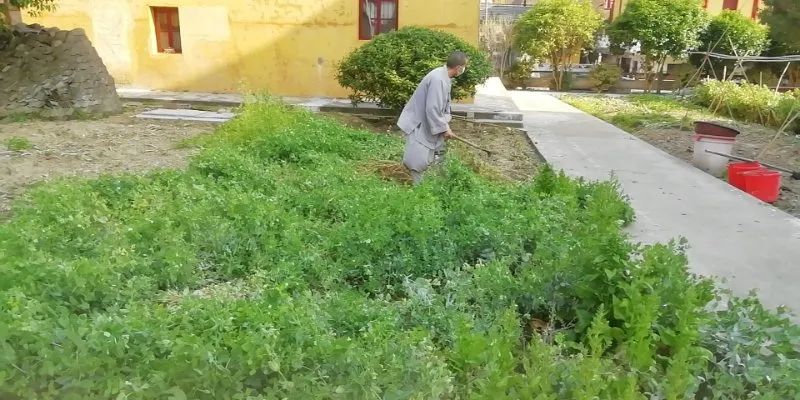 抢抓农时开展农业生产,农民纷纷抢抓春耕生产有利时机