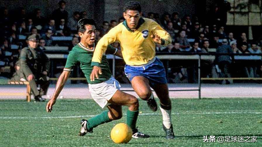 这些动物组一支足球队能统治当今足坛，你服不服