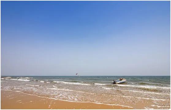 日照金沙滩歌曲,日照金沙滩