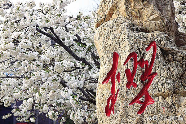 大连英歌石花海,大连十大最美花海