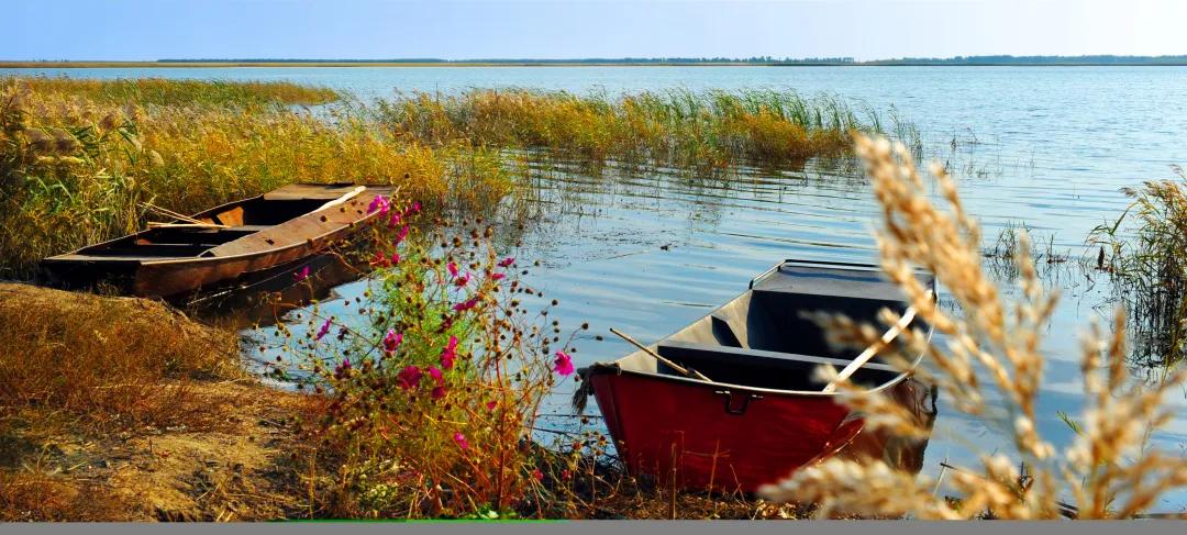 吉林秋日美食推荐,贴秋膘的季节一顿不吃饿得慌