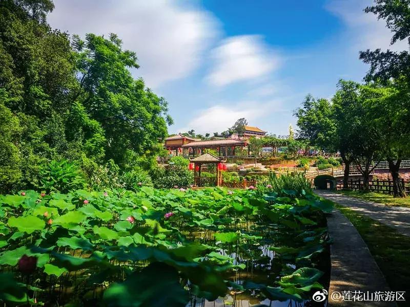 番禺好看的街景,番禺美丽的风光