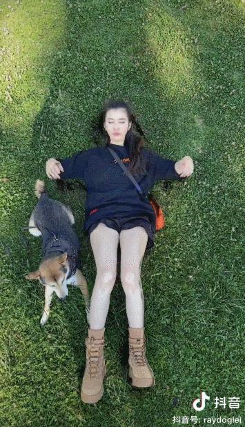 3条视频抖音涨粉213w,这些低粉账号用了什么“吸粉*法大**”?