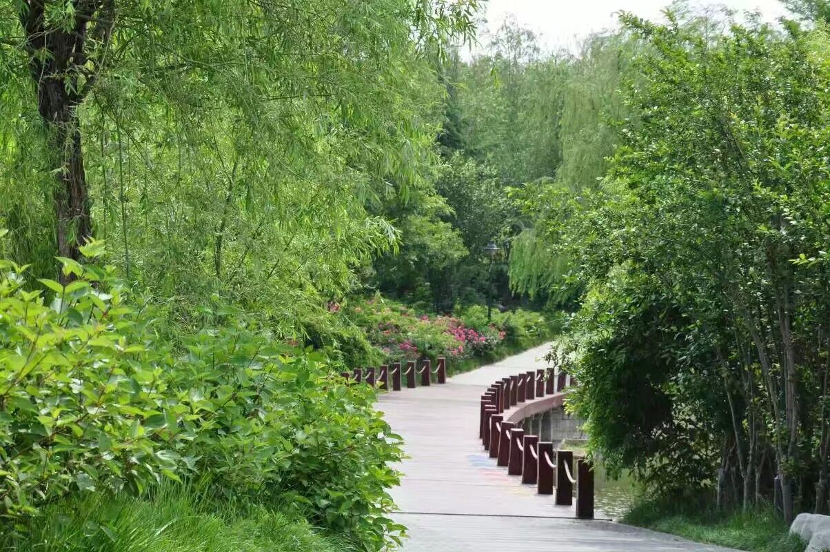 娼嶅潑姹熷寳浠欒崏灏忛晣,浠欒崏灏忛晣娼嶅潑