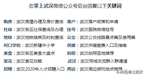 武汉将来要建一座新城,武汉新城10个重大项目动工了吗