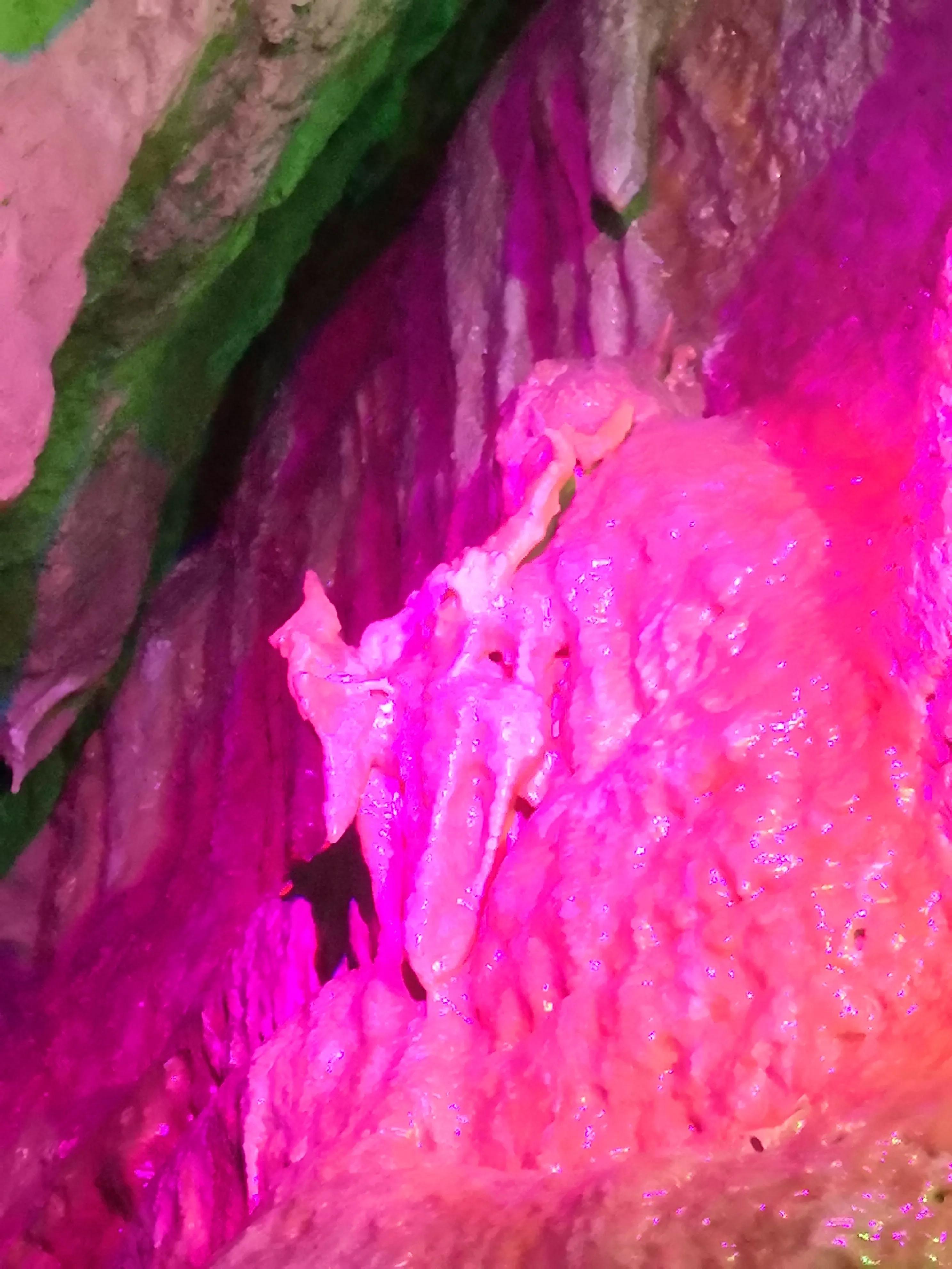 蔺相如故里景点简介,蔺相如邯郸景点