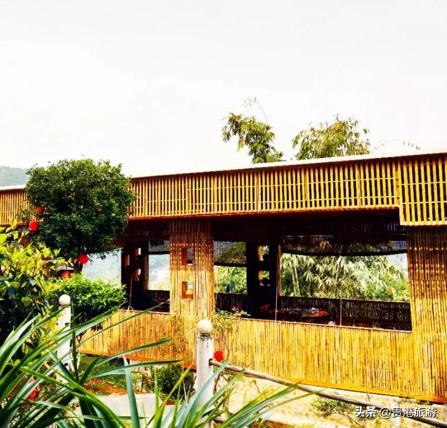 鐜╄浆骞胯タ妗傚钩姘戝,妗傚钩姘戝