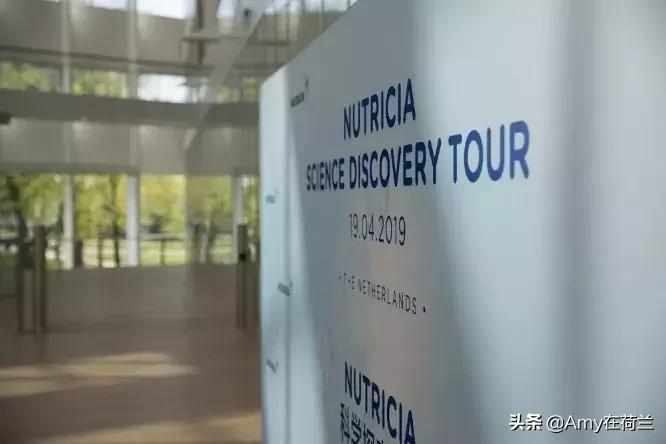 港版牛栏与荷兰牛栏铂金版,英版牛栏和荷兰牛栏哪个更好