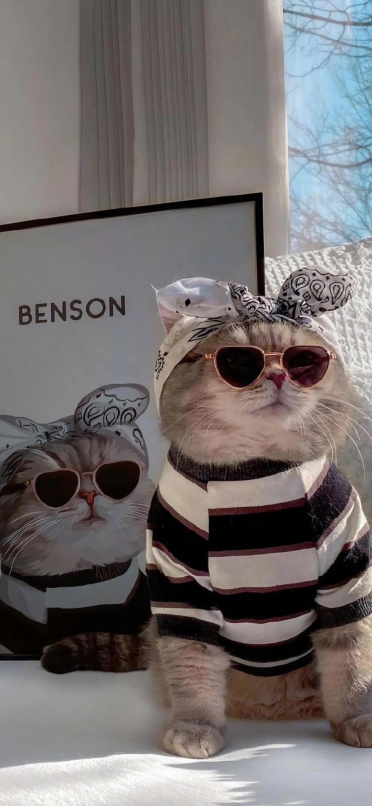 壁纸分享经典手机壁纸,手机壁纸好看的壁纸分享