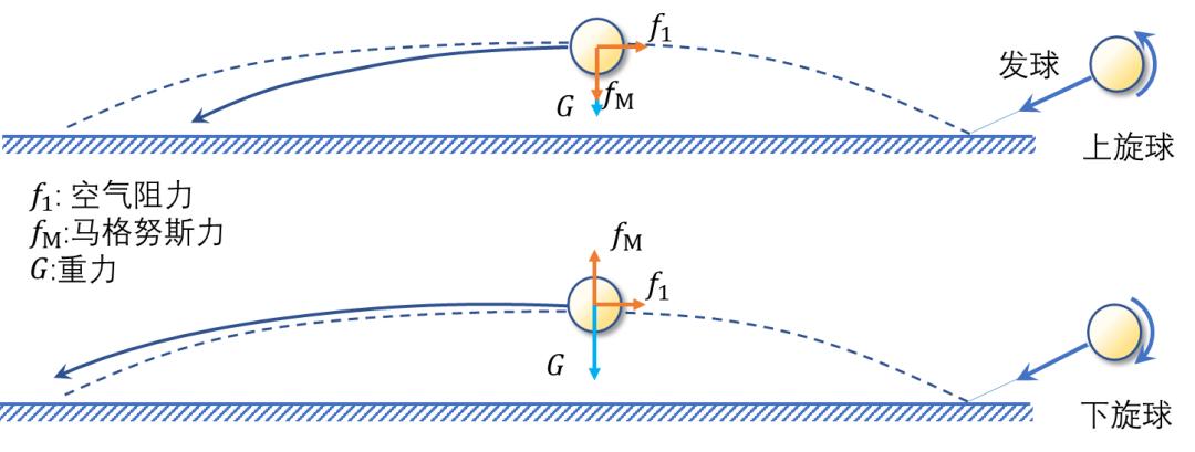 弧圈球力学,学会弧线球