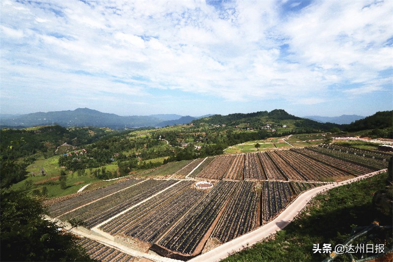 宣汉授牌旅游名县,全国旅游百强县宣汉