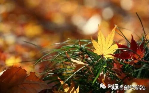 前半生拼命赚钱,前半生赚钱后半生看病