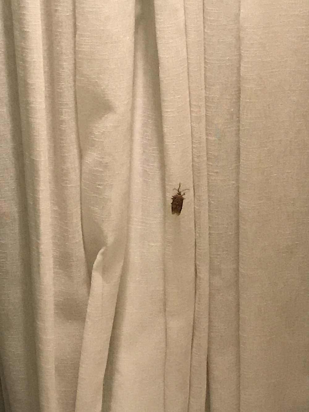 有什么事是你去了泰国才知道的,去了泰国回来就变样了