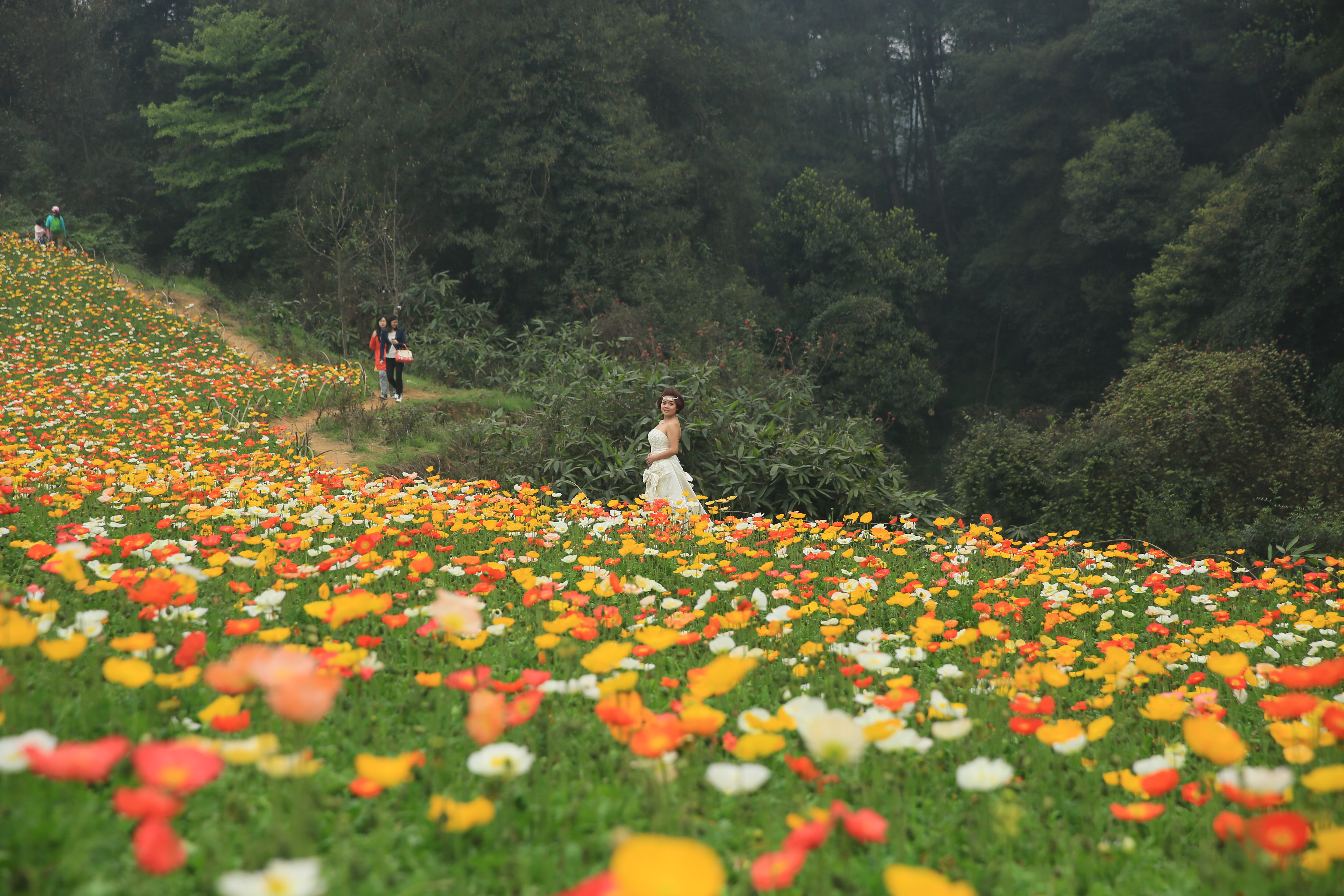 钂叉睙鐭宠薄婀栧ソ鐜╀笉,钂叉睙鐭宠薄婀栧ソ鑰嶅悧