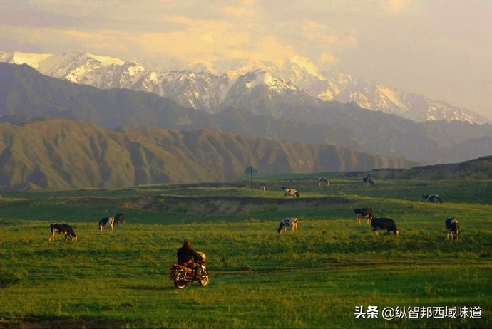 *疆新**建设兵团，军垦产品为什么受大众青睐？