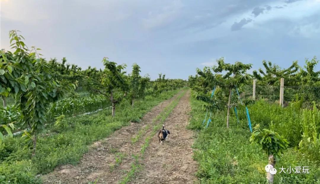 环球影城酒店详细攻略,环球影城超详细攻略