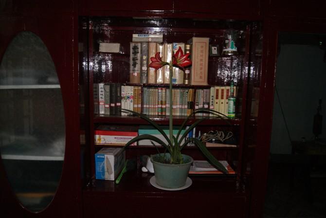 诗词的成语300个带解释,诗词中的成语