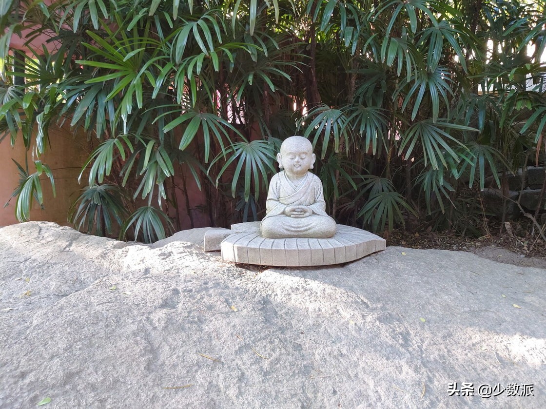 2020年索尼手机用起来如何？Xperia1II体验