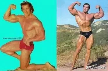 阿兰德龙和儿子演的电影,阿兰德龙儿子法比安