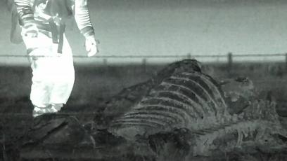 真正的狼灭：美国农场主一夜*击狙**45只郊狼，全套黑科技开挂了