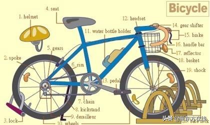 超实用的英语词汇图英语学习必备,英语生活基本词汇