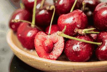 樱桃测评博主,樱桃测评