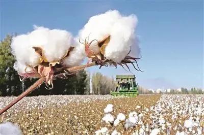 耐克新鞋为什么那么便宜 (耐克新鞋为什么便宜)