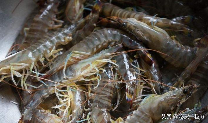 怎么挑选基围虾比较新鲜,买基围虾回来怎么弄