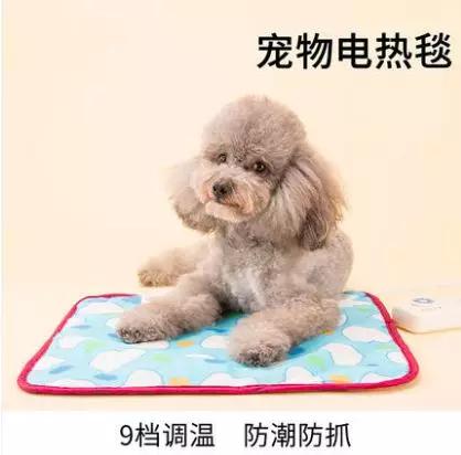 没有暖气咋过冬,没有暖气的省份怎么过冬