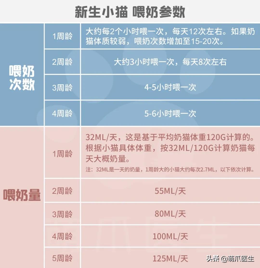 国家一级保护野生猫,国家一级保护哺乳动物名单