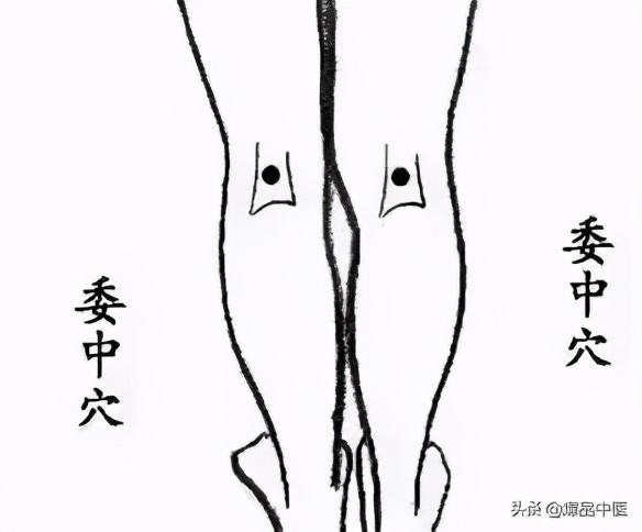 中医经络平衡介入疗法,经络是如何调节人体阴阳平衡的