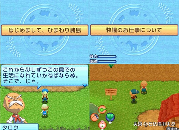 牧场物语最全攻略,牧场物语攻略经典